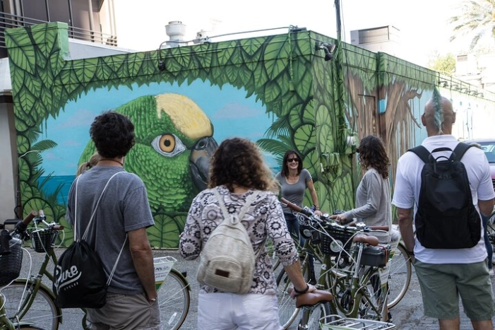 St Pete Awesome Mural Biking Tour 