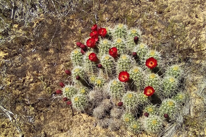 Image 6