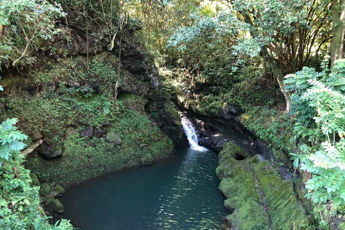 Image 9