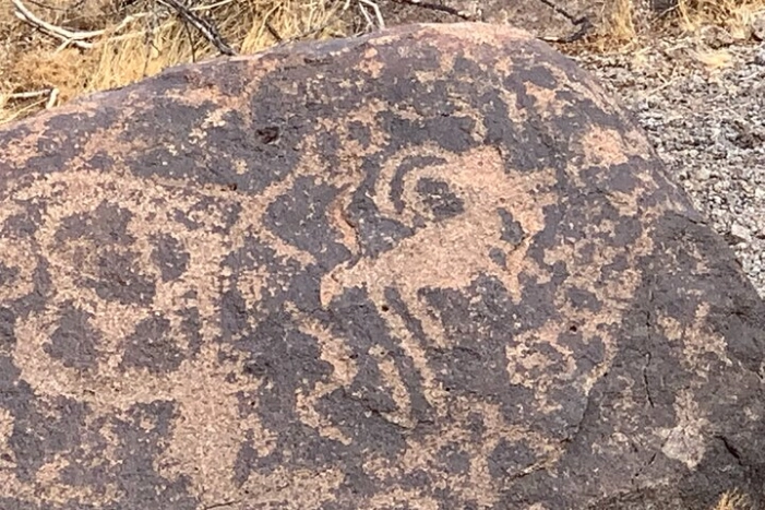 Image 14