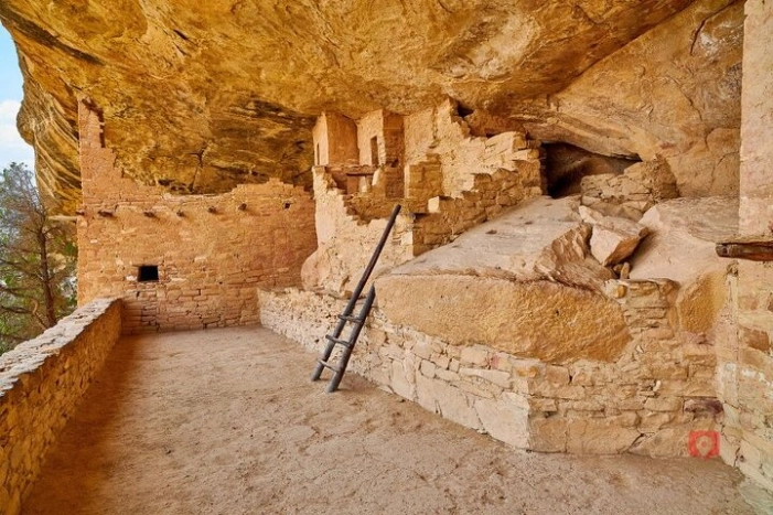 Image 8