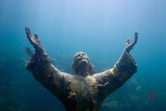 Image 12