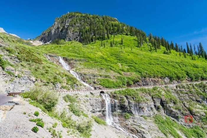 Image 8