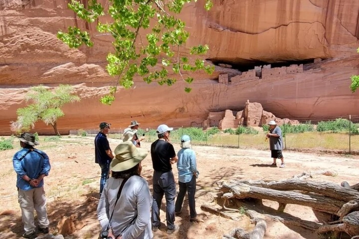 Image 4