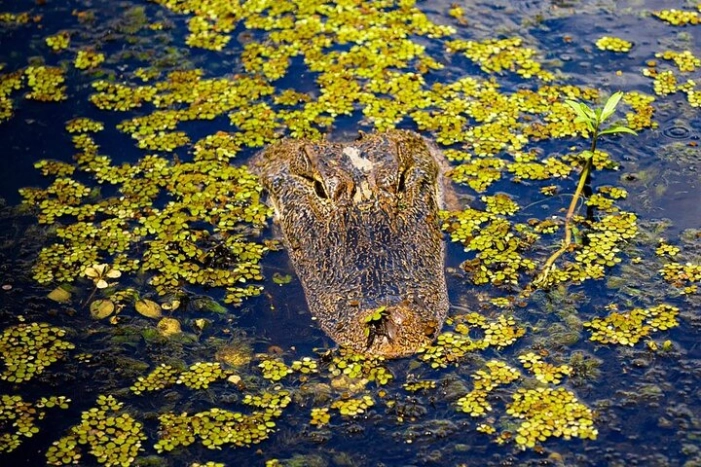 Image 10