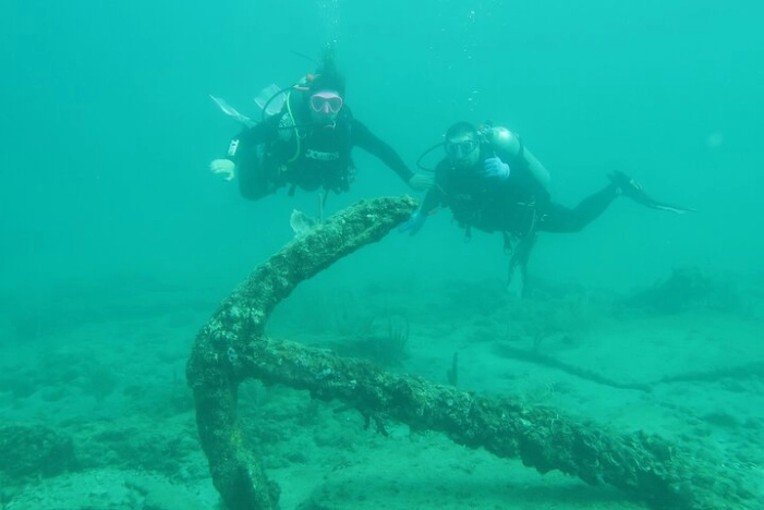Image 8