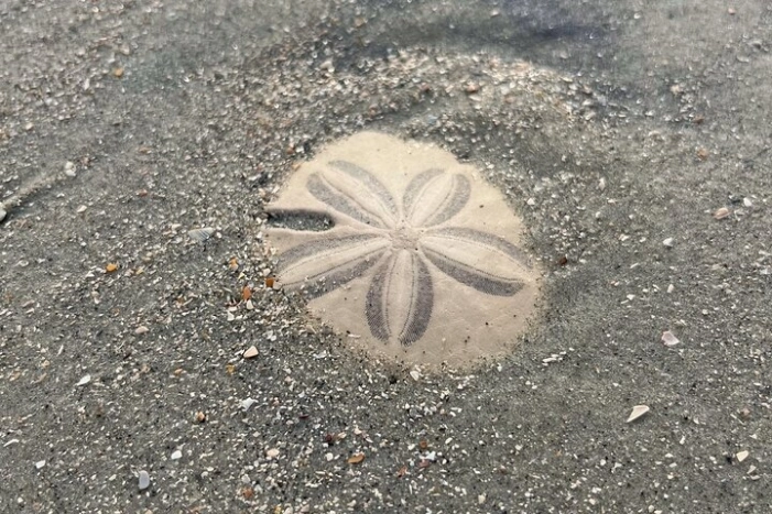 Image 13
