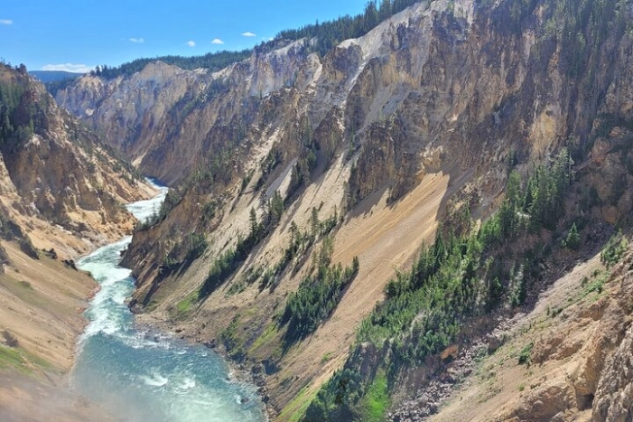 Image 11