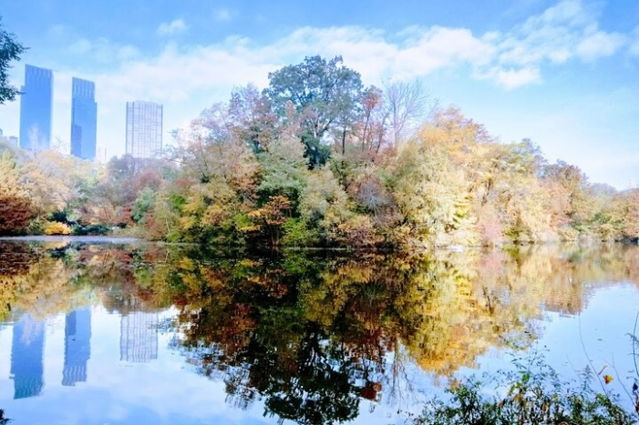 Central Park Scandal and Vice Tour