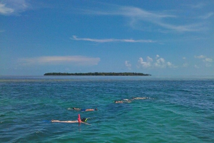Image 5