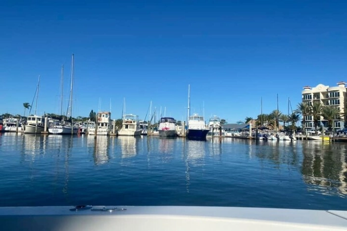 Image 10