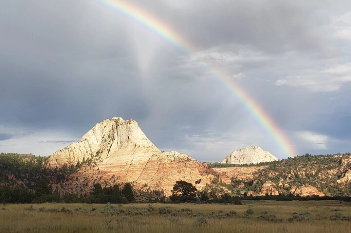 Image 14