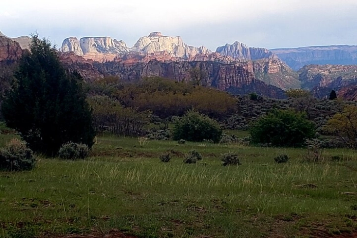 Image 12