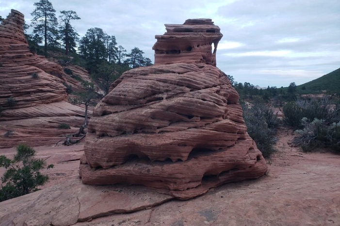 Image 6