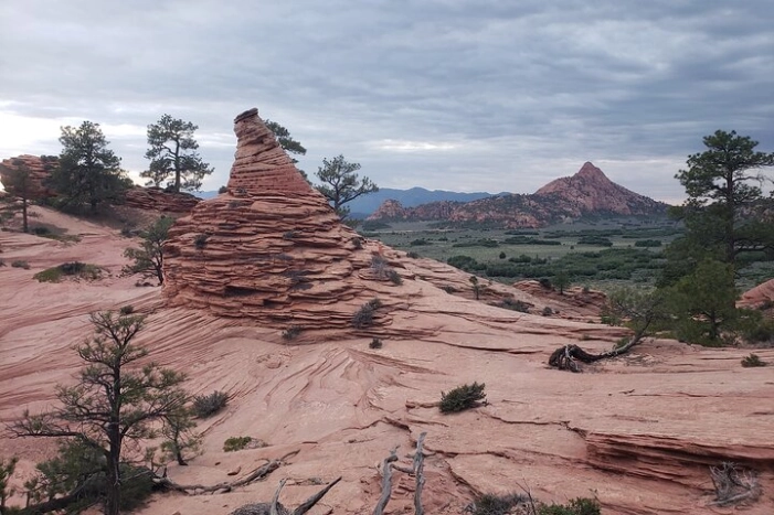 Image 5