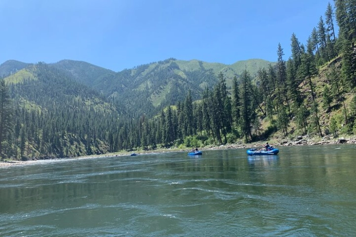 Image 6