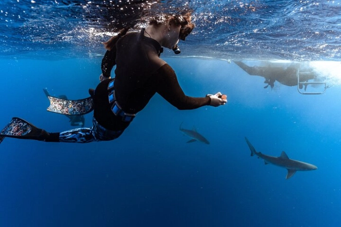 Shark Dive Oahu (No cage)
