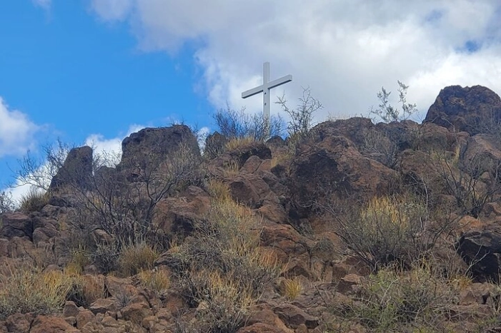 Image 7