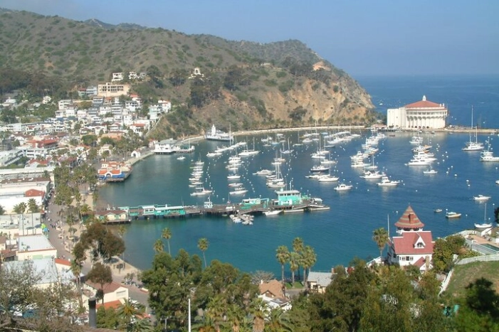 Avalon City Terrace + Mt Ada
