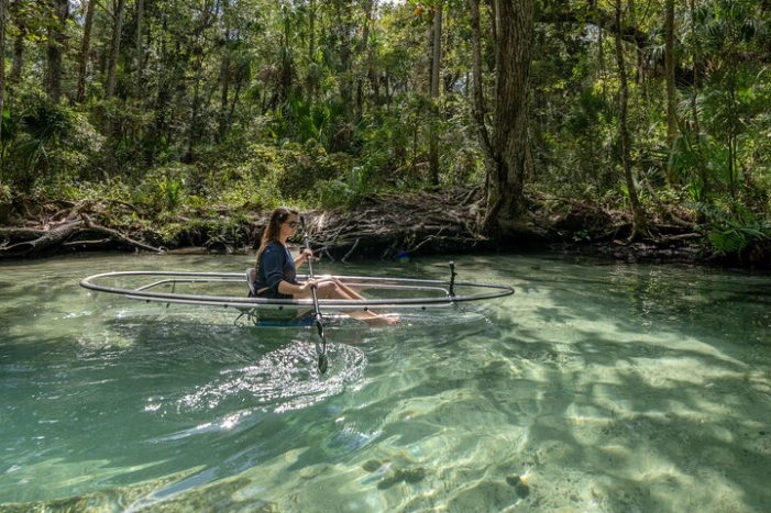 Explore The Chaz: Exclusive Clear Kayak Tours Near Crystal River