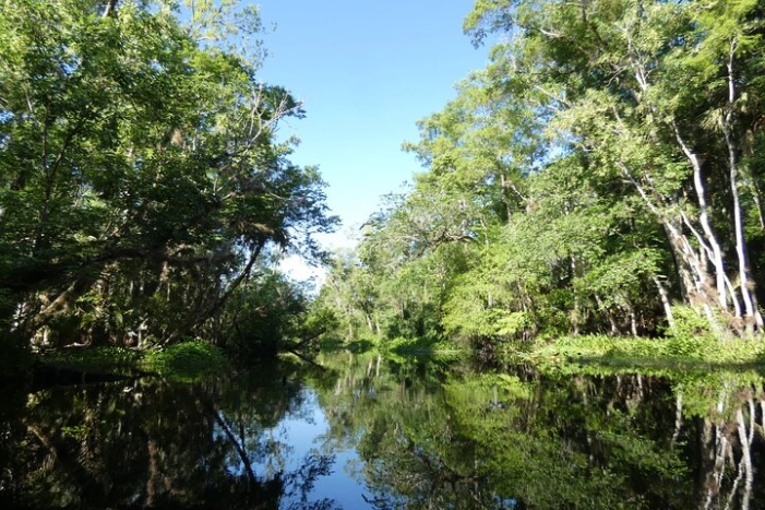 Image 15