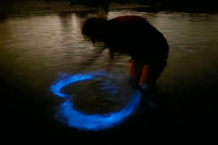 Orlando Bioluminescence Kayak Adventure