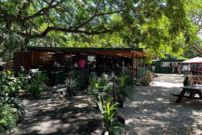 Image 35