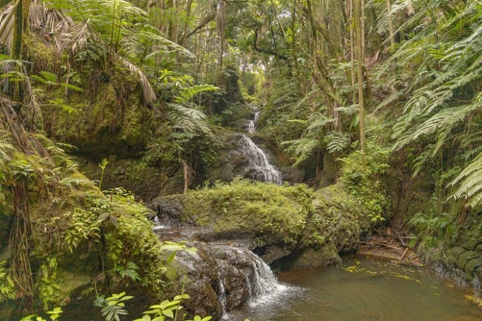 Image 14