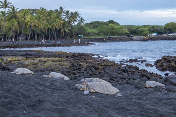 Image 31