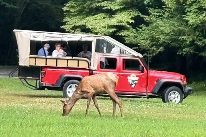 Smoky Mtn. Cherokee Eco Elk Waterfall Safari Jeep Adventure Tour 