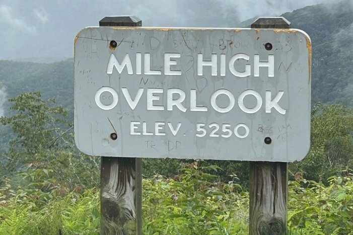 Image 16