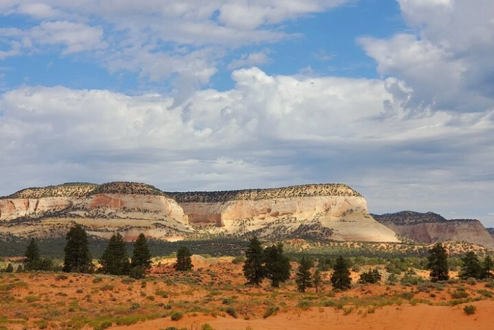 Image 6