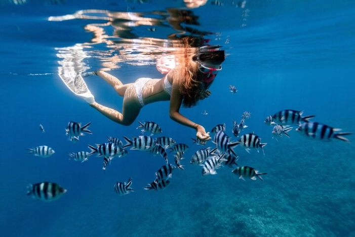 Hanauma Bay with Use of Snorkeling Equipment