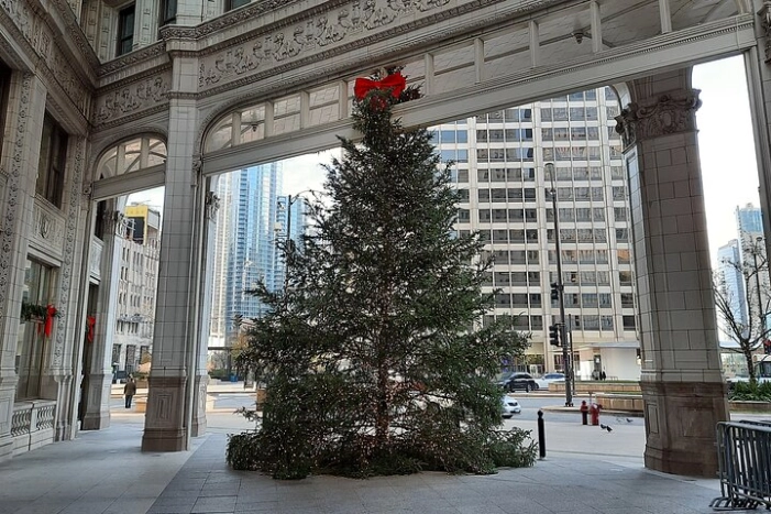 Image 7