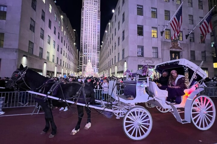 NYC : Magical Christmas Lights Private Horse Carriage Ride