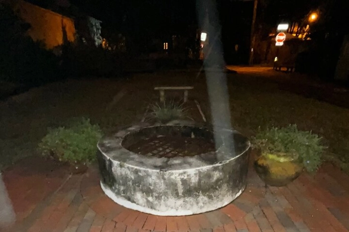 Image 12