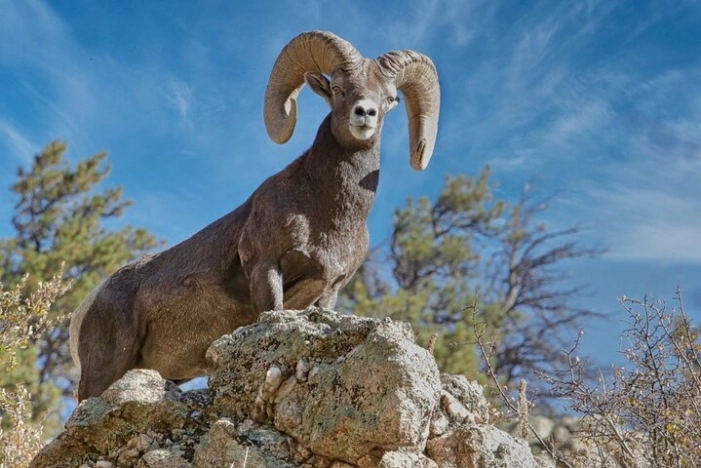Image 9