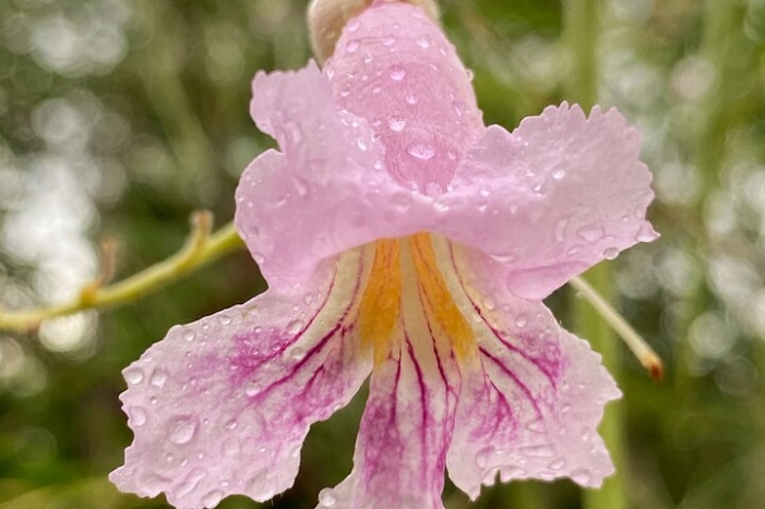 Image 18