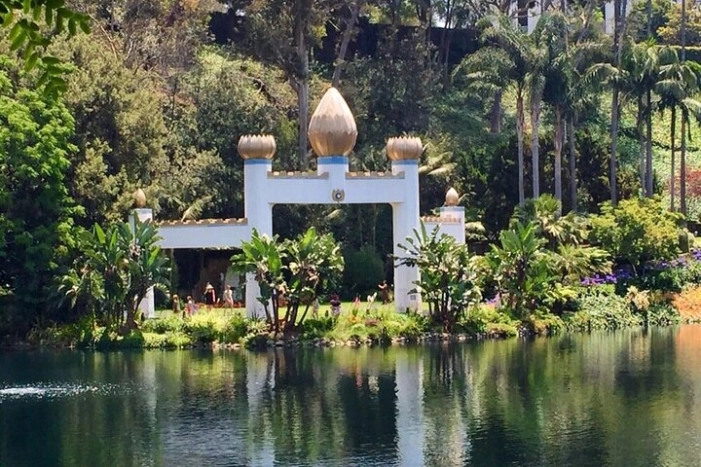 Image 5