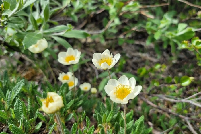Image 9