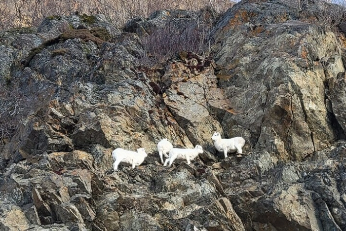 Image 14
