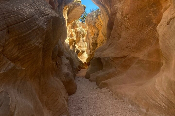 Slot Canyon 2hr tour at Willis Creek