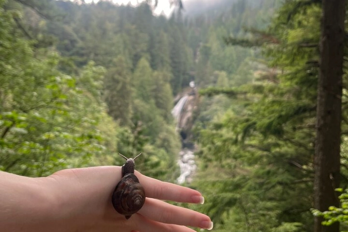 Image 15