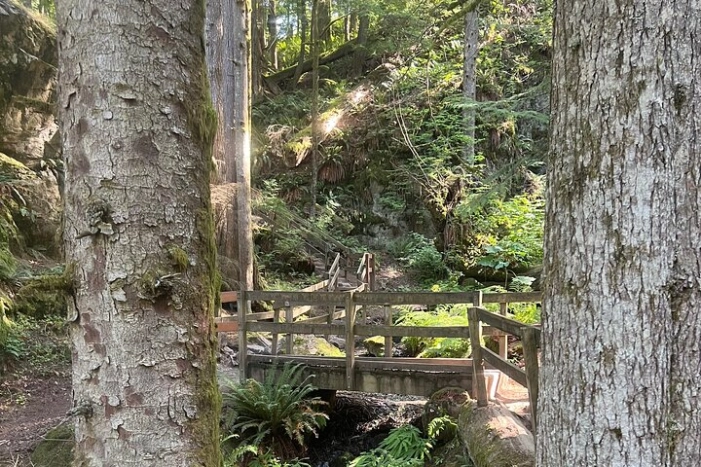 Image 13