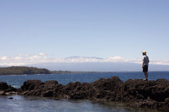 Image 36