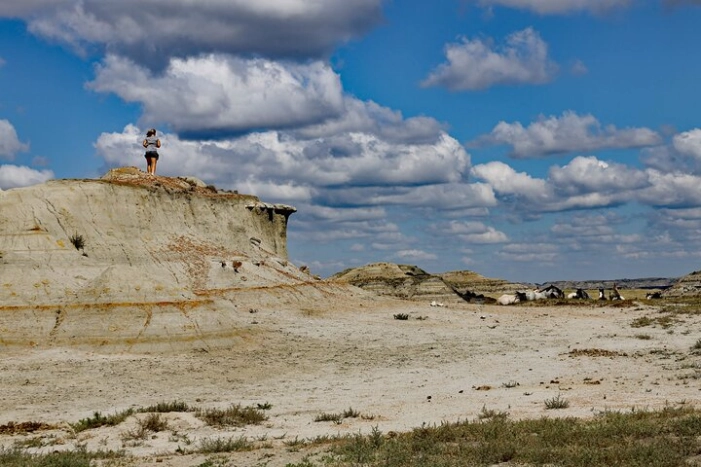 Half Day Chasing Horses Wildlife Photography Experience in North Dakota