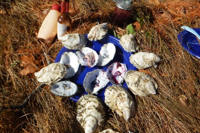 Oyster Farm & Complimentary Tasting Sea Kayak Tour in Casco Bay