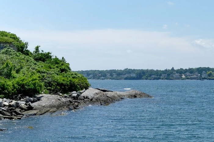 Image 14