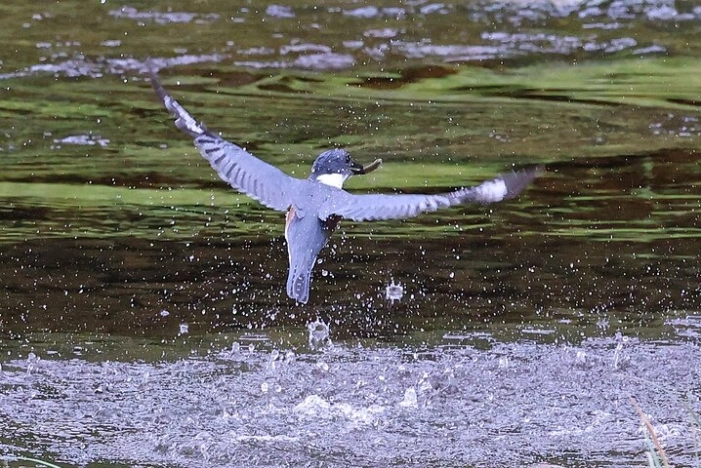 Image 34
