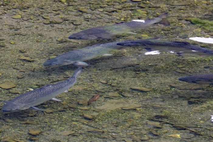 Image 13